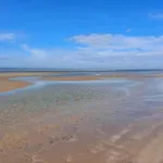 Hébergement de vacances 4 Person In Blavand-by Traum *