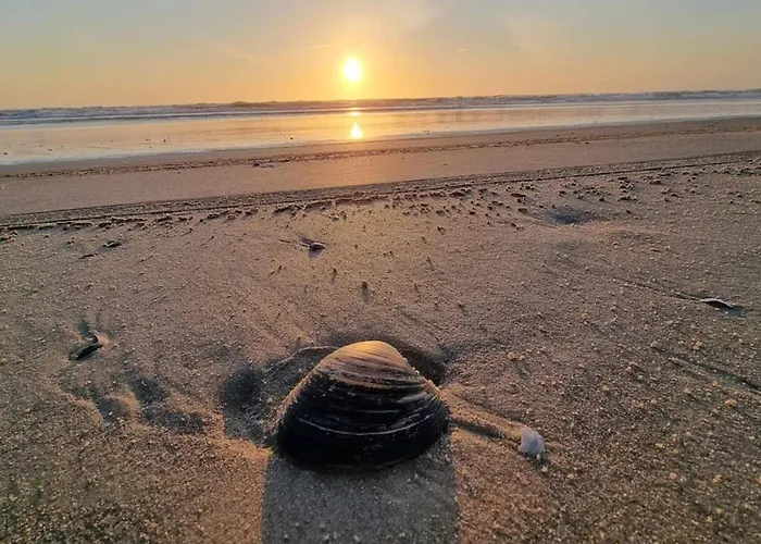 4 Person In Blavand-by Traum ブラーバンド