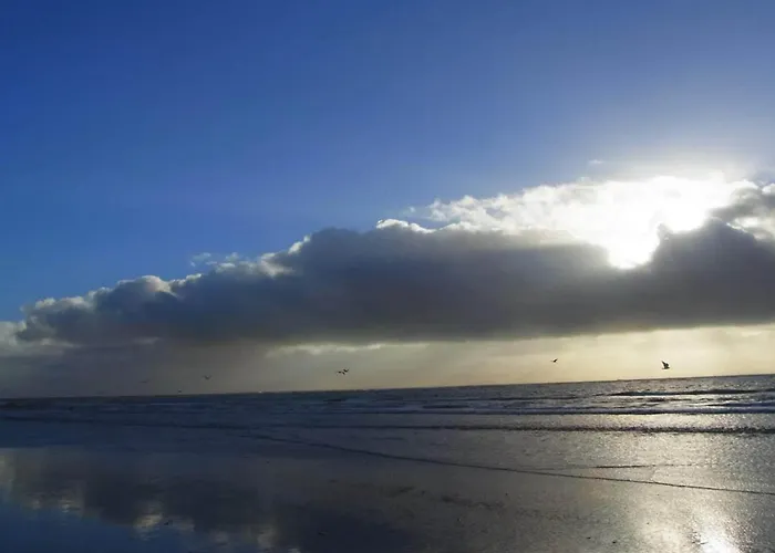 4 Person In Blavand-by Traum 別荘