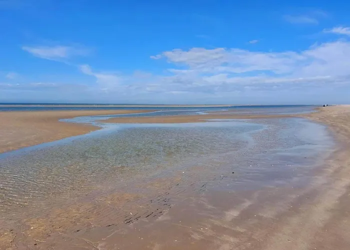 Semesterbostad 4 Person In Blavand-by Traum *