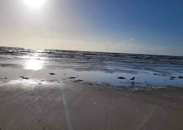 4 Person In Blavand-by Traum Semesterbostad